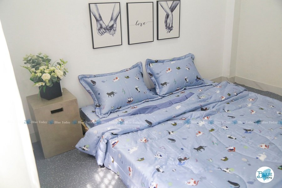 HÀNG MỚI VỀ - Bộ drap giường hàn quốc