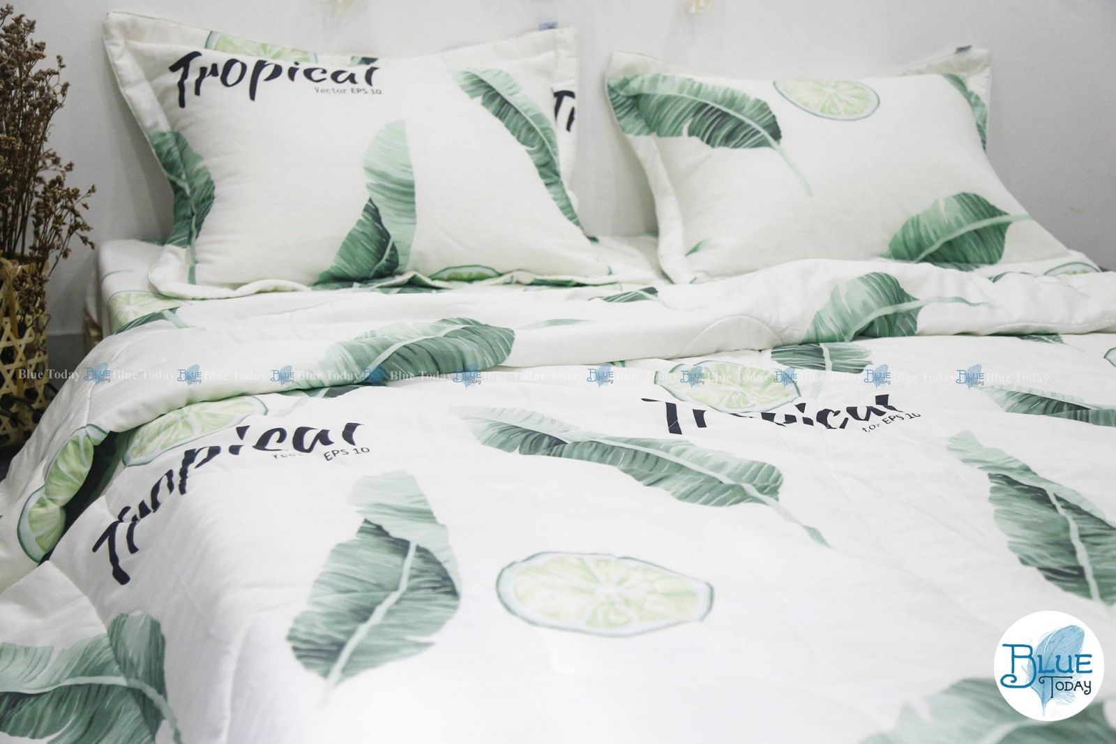 Blue Today giới thiệu những bộ drap giường hàn quốc đẹp